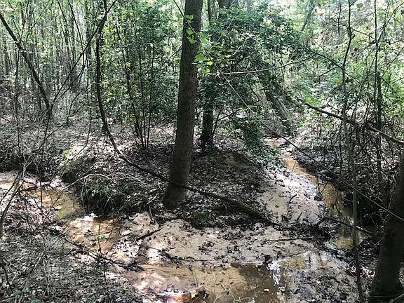 3rd image of County Road 1619