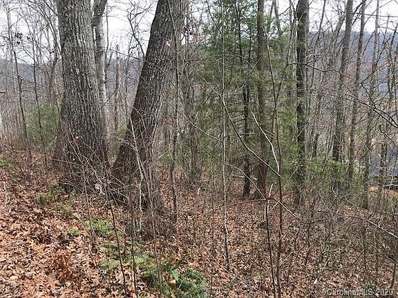 4th image of 22 Silent Forest Dr