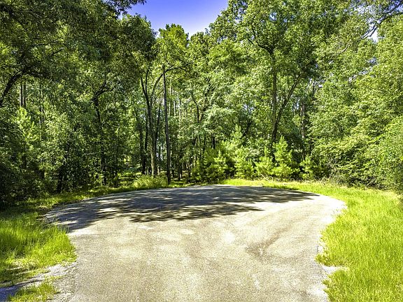 5th image of Pine Cir