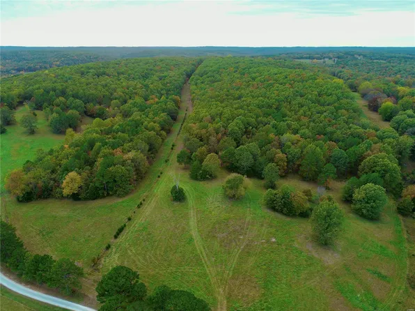 39 Boiling Springs Rd Tract 39, Licking, MO 65542