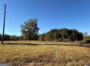 401 Sanders Cemetery Rd, Chauncey, GA 31011