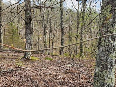 Id42 Greenbriar Ct, Holladay, TN, 38341