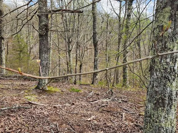 Id42 Greenbriar Ct, Holladay, TN 38341