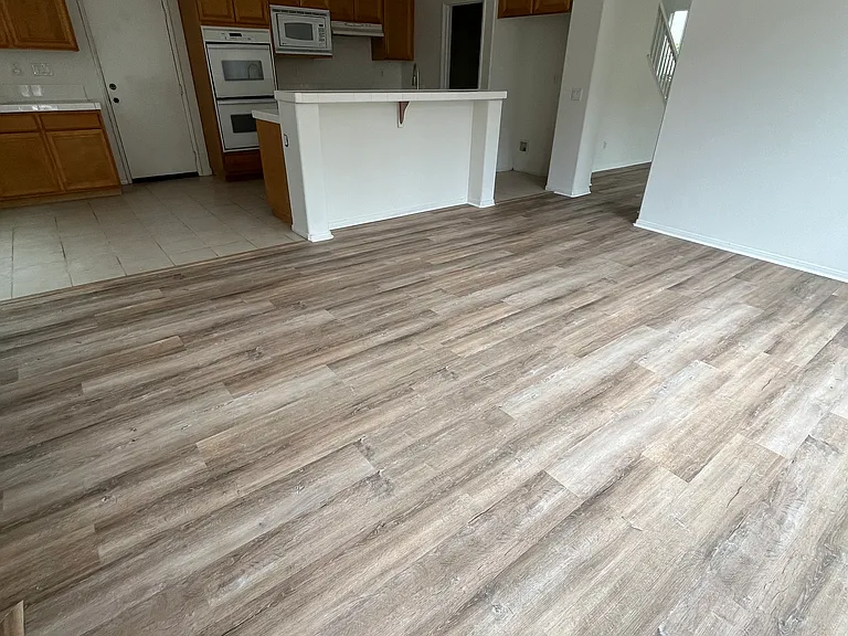 1414 Vida Dr — Photo 24