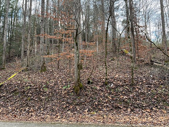 2nd image of 2774 Mosley Bend Rd