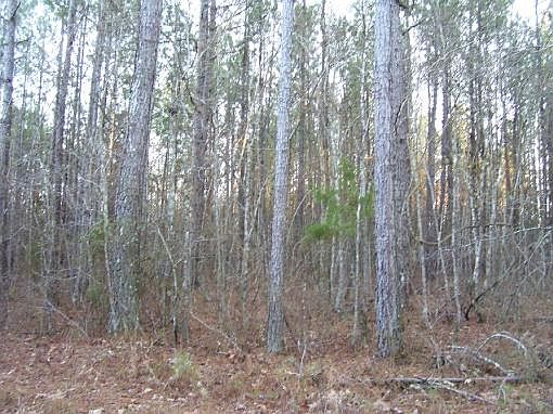 2nd image of 2665 Highway 82 W