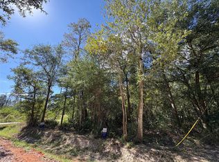 LOT 244 Mehringer Rd LOT 244, Shepherd, TX 77371