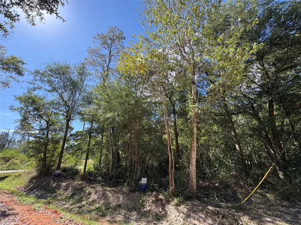 LOT 244 Mehringer Rd Lot 244, Shepherd, TX 77371