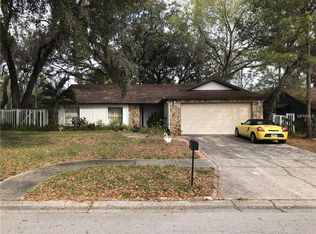 4453 Summer Oak Dr, Tampa, FL 33618