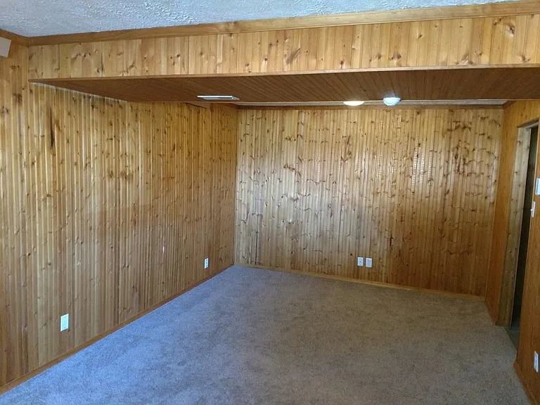 Basement living room