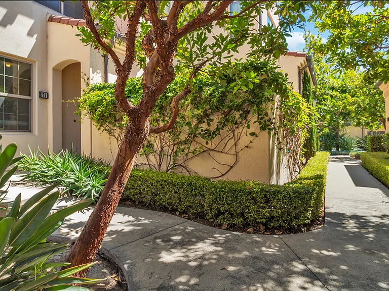 71 Tallowood — Photo 3
