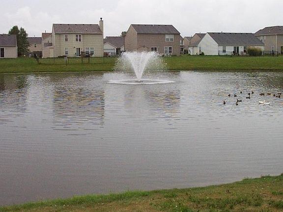 View of the pond and waterfall from the backyard!