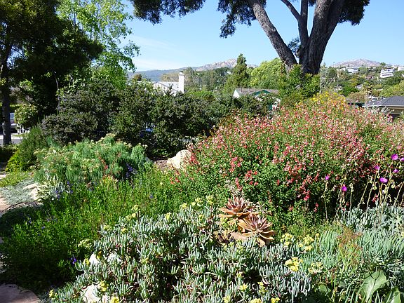 View from front door