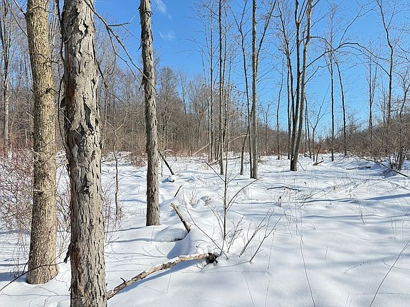5th image of 0 Cole Rd