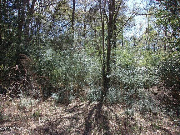 2nd image of 3903 Greenwood Dr