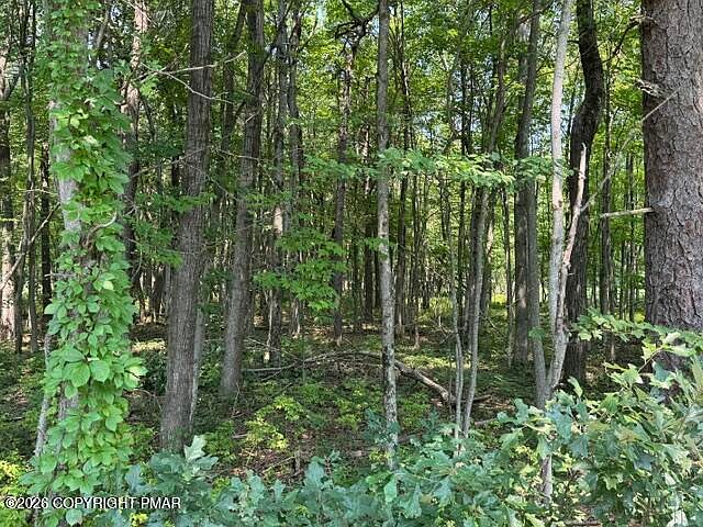 1st image of Panther Run Rd