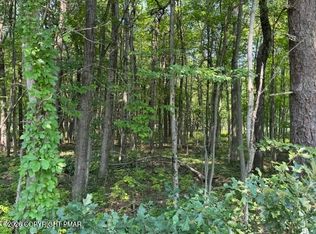 Panther Run Rd, Jim Thorpe, PA 18229