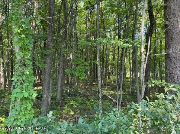 Panther Run Rd, Jim Thorpe, PA 18229