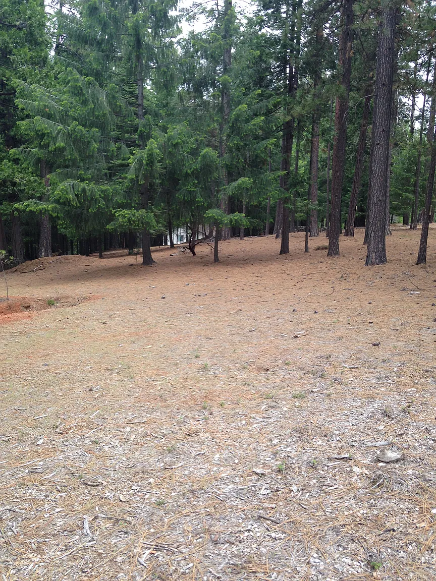 5507 Pine Ridge Dr photo 1