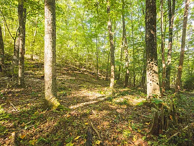 Property photo 48