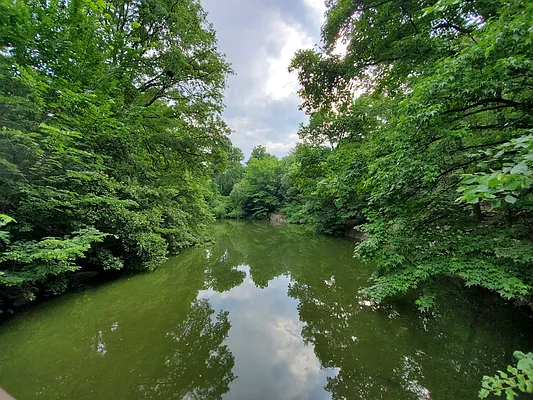 Rented by Bond New York | media 2