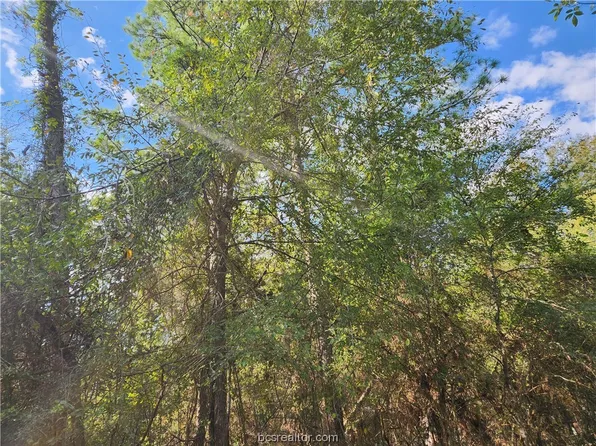 LOT 26 Hackberry Dr, Plantersville, TX 77363