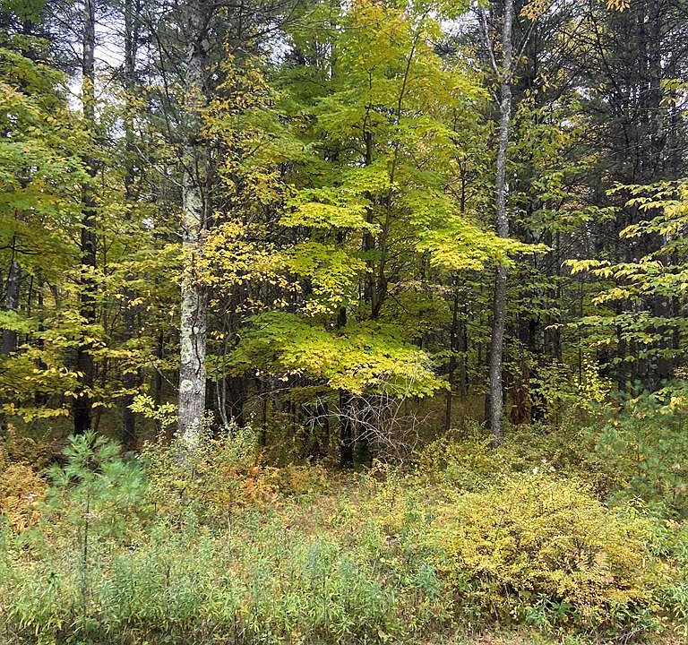 1st image of LOT 7 Thimbleberry Ln