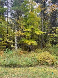 LOT 7 Thimbleberry Ln, Baileys Harbor, WI, 54202