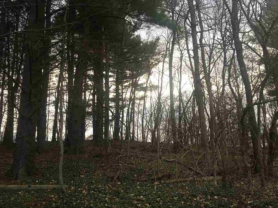 2nd image of 34 Boght Rd