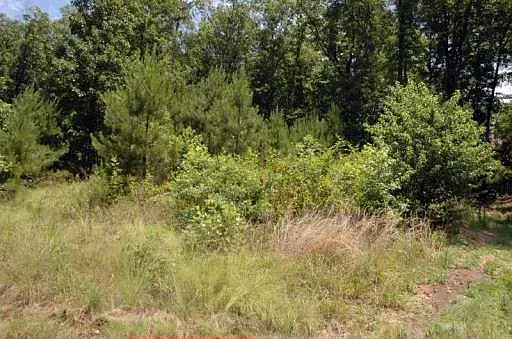 5562 Legacy Trl photo 1
