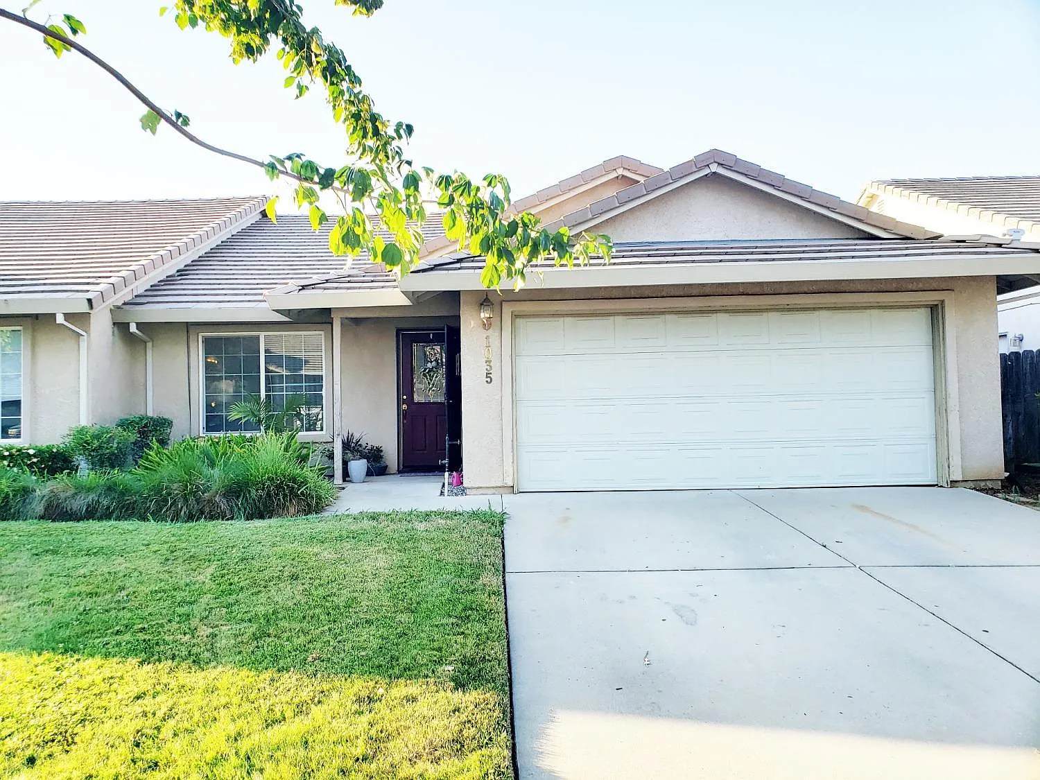 1035 Arbor Dr photo 1