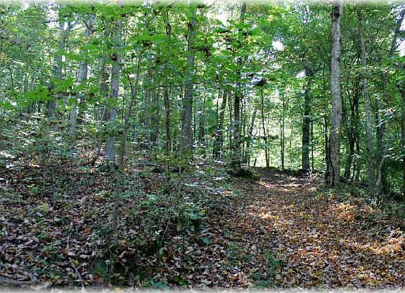 5th image of 0 Wildlife Trl Lot 51
