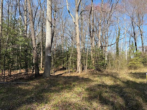 4th image of 709 Apple Grove Rd