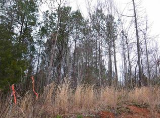 163 N Ellison Rd, Blythewood, SC 29016