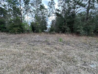 8699 N Discalfani Loop, Crystal River, FL, 34428