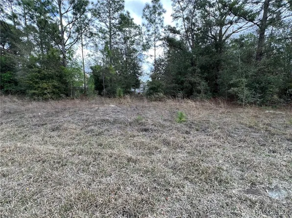 8699 N Discalfani Loop, Crystal River, FL 34428