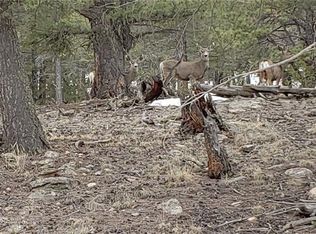 17 Redhill Rd, Fairplay, CO 80440