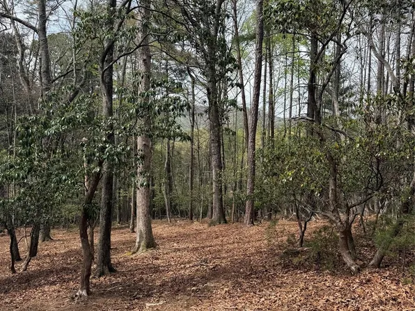 1553 Country View Way, Arden, NC 28704