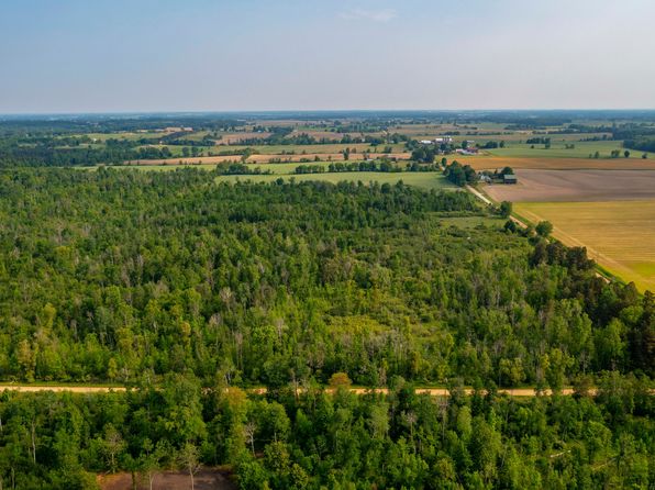 0 Willis Rd, Brown City, MI 48416