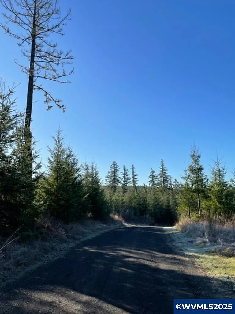 0 SW Buck Hollow Rd #18 photo 1