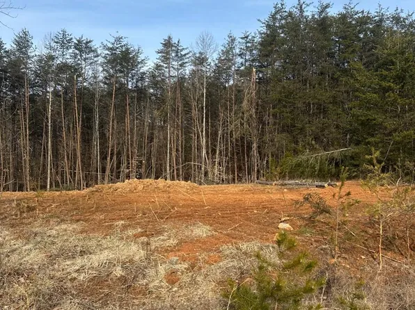 48 Dillon Cabin Rd, Moneta, VA 24121