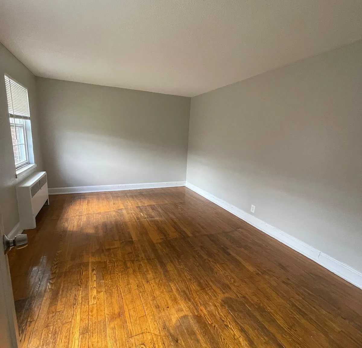 1 bed, $1,150 — Photo 4