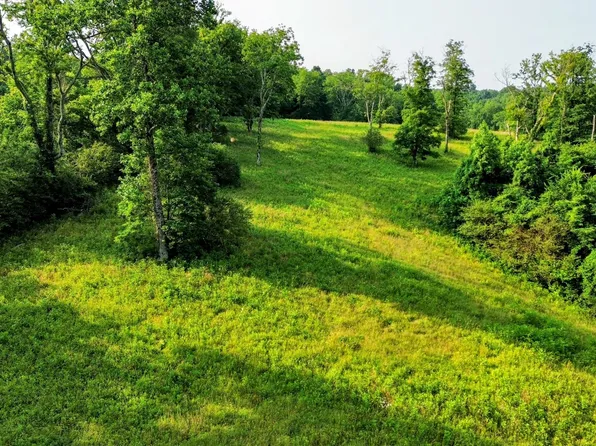 0 Highway 64w, Pulaski, TN 38478