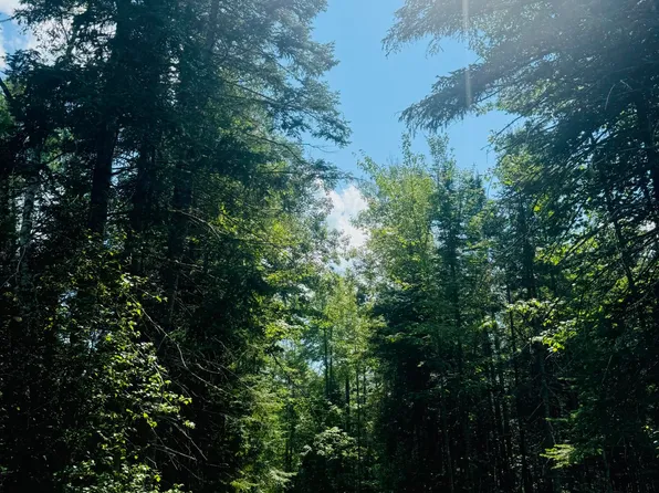 14-6 Hemlock Drive, Hudson, ME 04449