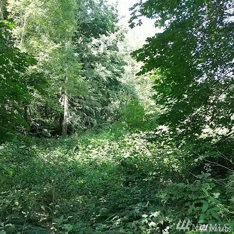 2nd image of 16925 80th St SW