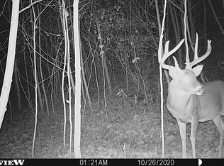 Lower Twin Creek Rd, Blue Creek, OH 45616