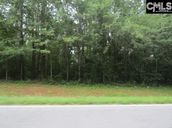 0 Savannah Hwy, Swansea, SC 29160