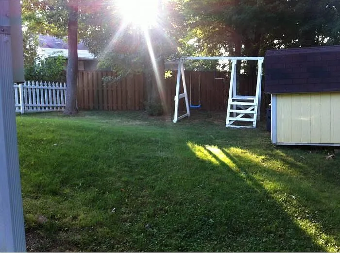 Backyard 1