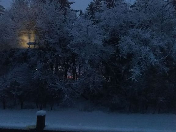 IMG_20200125_0654061