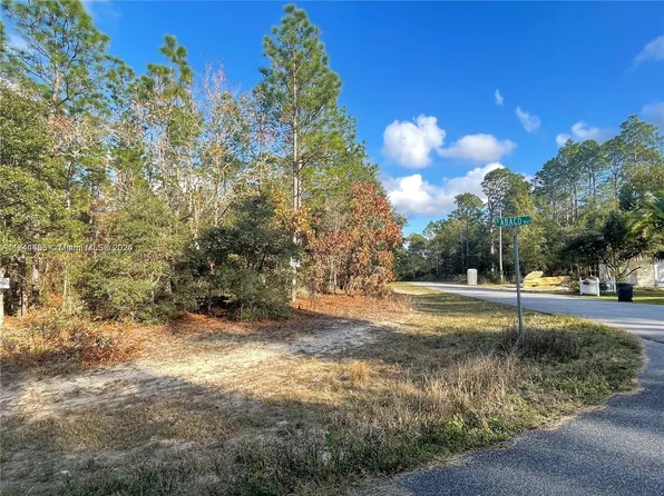 3279 W Talinum Pl, Citrus Springs, FL 34433